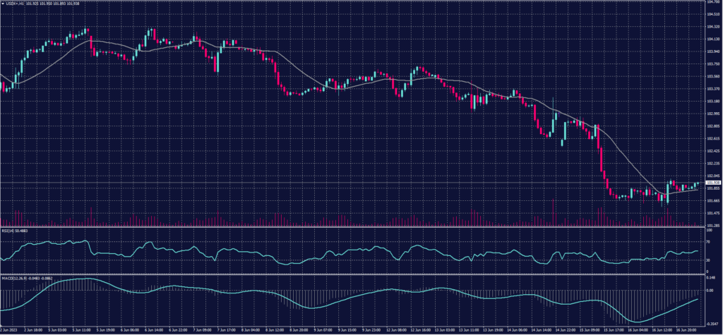 USDX 19