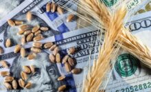 commodities investment, dollar and wheat, coffee