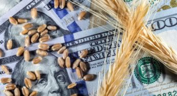 Investing in Commodities
